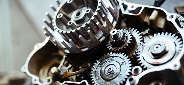 Mô hình hóa tham số và mô hình trực tiếp: Bạn đang ở bên nào?